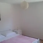 Апартаменты Andelic *
