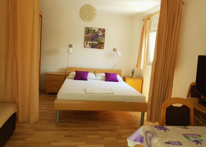 Apartament Andelic